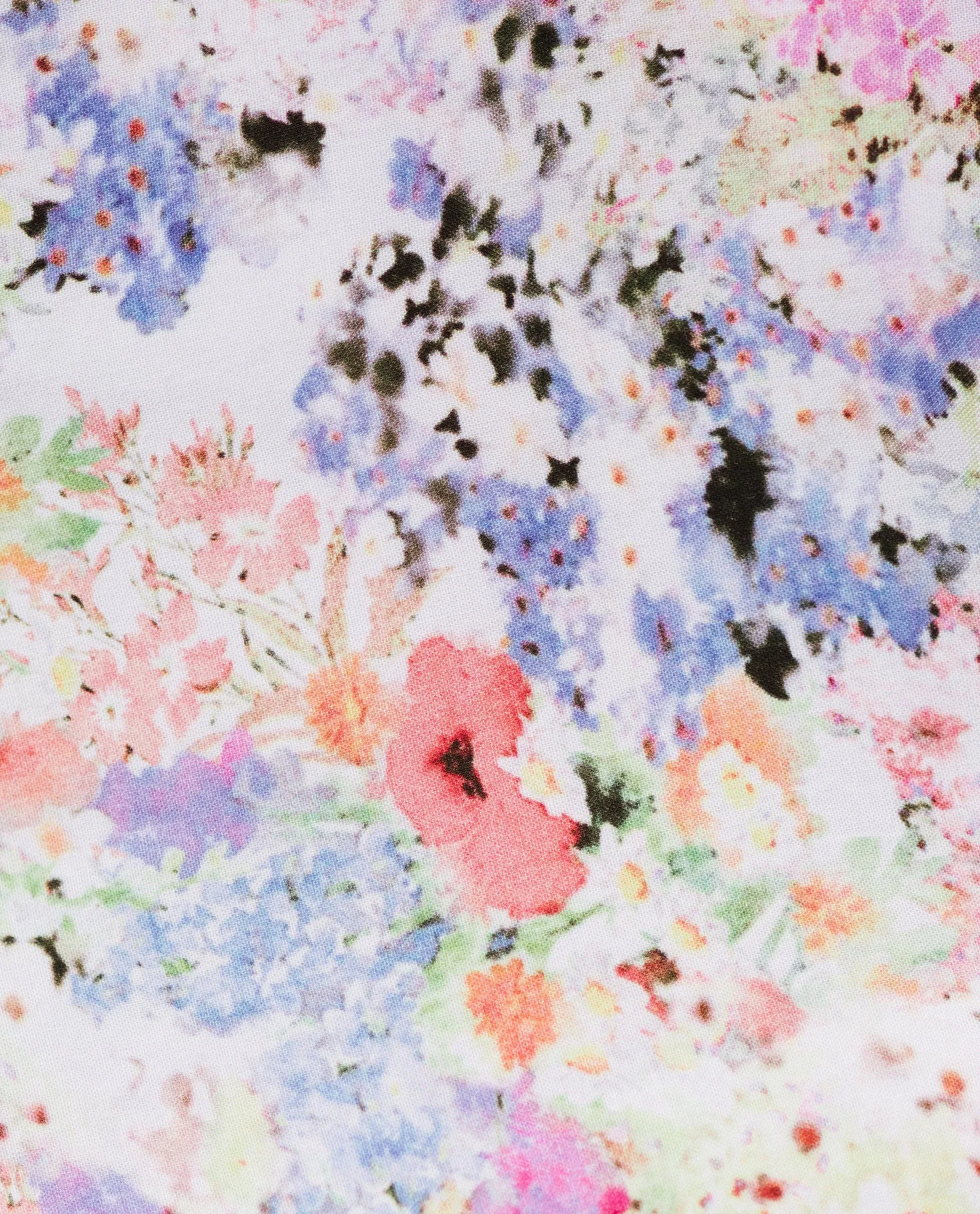Poppy - Floral