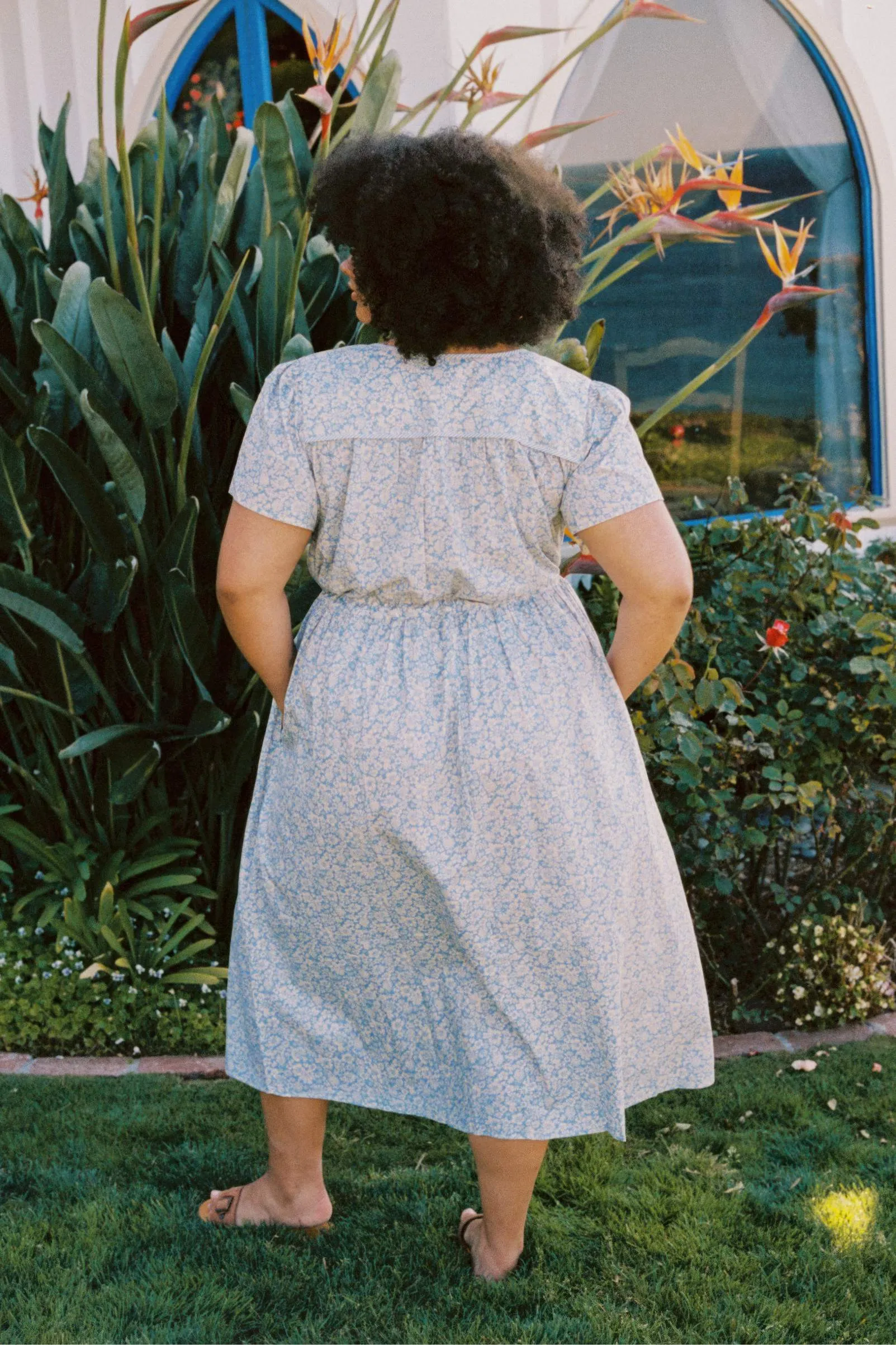 The Dawn Dress Extended | Daisy Blue