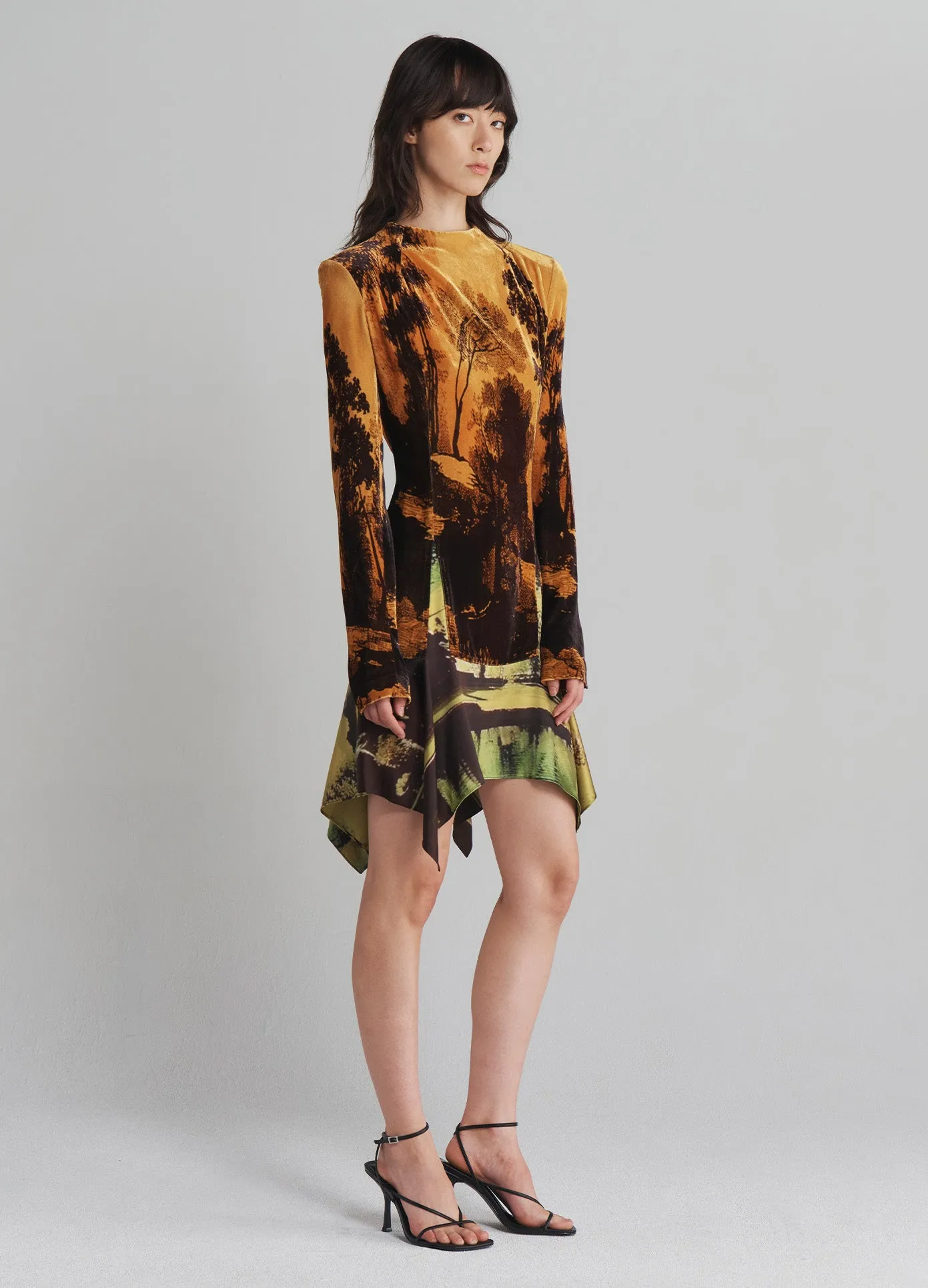 Velvet Mock Turtleneck Dress