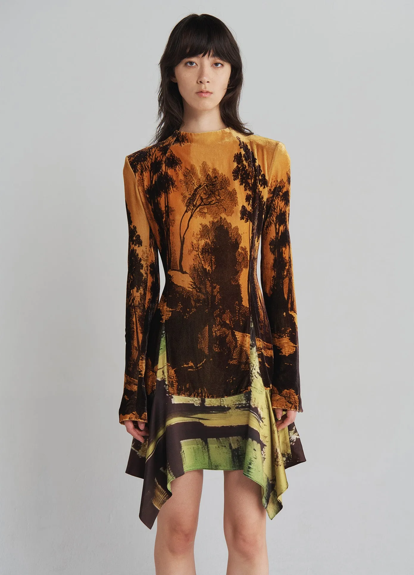 Velvet Mock Turtleneck Dress